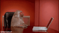 Humor -  Fun Tiere Affen 01 