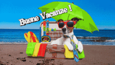Messages Italian Buone Vacanze Animated Background 003 