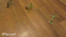 Humor -  Fun Animals Mouse 01 