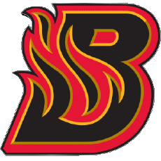 Sports Hockey - Clubs U.S.A - CHL Central Hockey League Bloomington Blaze 