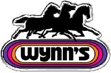 Transport Kraftstoffe - Öle Wynn's 
