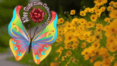 Messages German Alles Gute zum Geburtstag Schmetterlinge Animated Background 004 