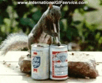 Humor -  Fun Tiere Eichhörnchen 01 