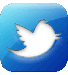 Multimedia Computadora - Internet Twitter 