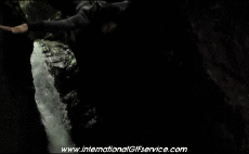 Humor -  Fun Sports Dive Fun - Win 