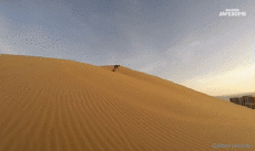 Humor -  Fun Sport Snowboard Auf dem Sand (Sandboarding) 