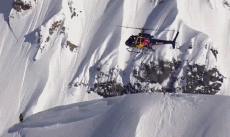 Humor -  Fun Sports SnowBoard Fun - Win 