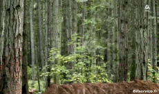 Humor -  Fun Sports Mountain biking Fail 02 