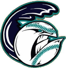 Deportes Béisbol U.S.A - FCBL (Futures Collegiate Baseball League) Old Orchard Beach Raging Tide 