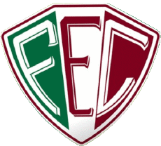 Sports Soccer Club America Logo Brazil Piauí Fluminense Esporte Clube 