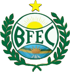 Sports FootBall Club Amériques Logo Brésil Distrito Federal Bosque Formosa EC 