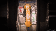 Humour - Fun 3D Effets Stéreoscopique Wiggle 