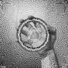 Humour - Fun GIF Artistes Bill Tavis 