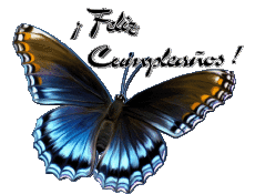 Messages Spanish Feliz Cumpleaños Mariposas Transparent Background 006 
