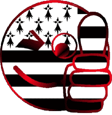 Bandiere Francia Regioni Bretagna Faccina - OK 