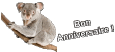 Messagi Francese Bon Anniversaire Animaux 013 