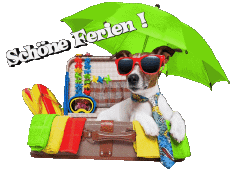 Messages German Schöne Ferien Transparent Background 11 