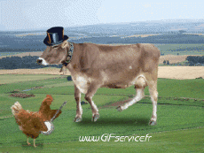 Humour - Fun Animaux Vaches Serie 01 