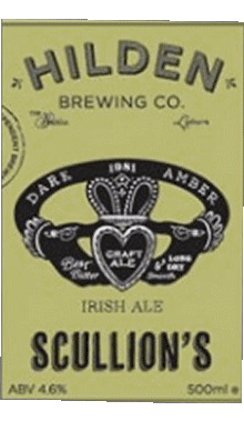 Bevande Birre Irlanda Hilden 
