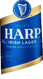 Getränke Bier Irland Harp 