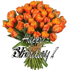 Messages English Happy Birthday Floral Transparent Background 012 