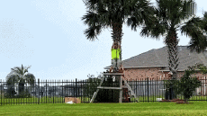 Humour - Fun Sports Tyrolienne Gamelle Fail 