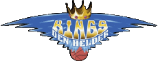 Sports Basketball Netherlands BV Den Helder 