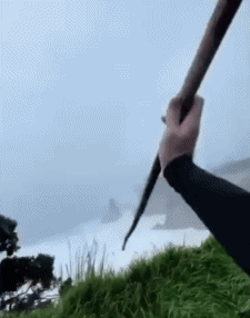 Humor -  Fun Orte Wind 