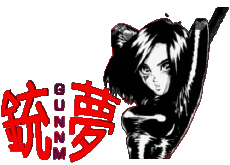 Multi Media Manga Gunnm 