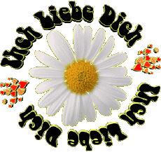 Messages Allemand Ich Liebe Dich 04 