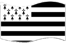Bandiere Francia Regioni Bretagna Rettangolo 