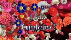 Mensajes Español Feliz Cumpleaños Floral Fondo animado 003 