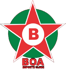 Sportivo Calcio Club America Logo Brasile Minas Gerais Boa Esporte Clube 