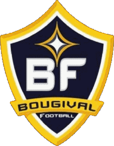Sports FootBall Club France Ile-de-France 78 - Yvelines Bougival FC 