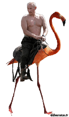 Humour - Fun PERSONNAGES Politique - International Vladimir Poutine 