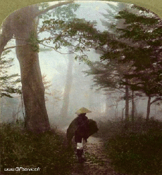 Humor -  Fun 3d Effects Stéreoscopique Wiggle 