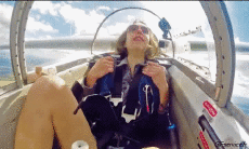 Humor -  Fun Transport Airplanes Civil 