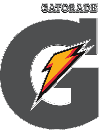 2009-Bevande Snergetiche Gatorade 2009