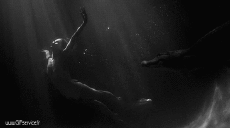 Humor - Fun Animales Cocodrilos - Caimán 01 