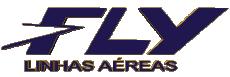 Transports Avions - Compagnie Aérienne Amérique - Sud Brésil Fly Linhas Aéreas 