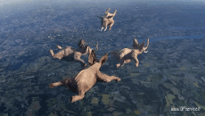 Humor -  Fun Tiere Elefanten 01 