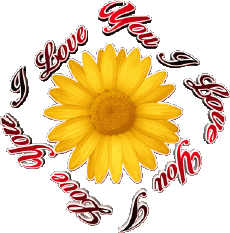 Messages Anglais I Love You 02 