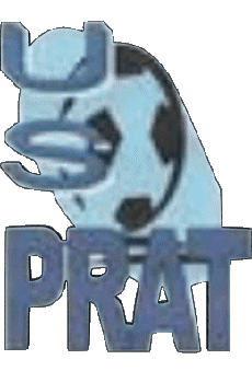 Sports Soccer Club France Bretagne 22 - Côtes-d'Armor Union Sportive Prataise 