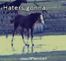 Humor - Fun Animales Caballos 01 