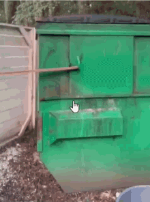 Humor -  Fun Animals Raccoons 01 