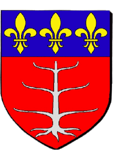 Blason-Drapeaux France Départements - Villes 82 NEGREPELISSE Blason