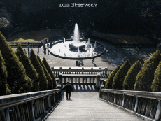 Humour - Fun 3D Effets Stéreoscopique Wiggle 