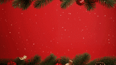 Mensajes Inglés Season's Greetings Video 