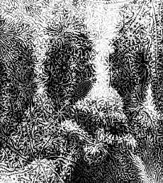 Humor -  Fun GIF Artists Bill Tavis 