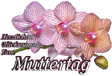 Messages Allemand Herzlichen Glückwunsch zum Muttertag 05 